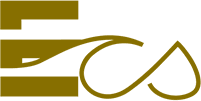 Exceptional Case Services, Inc. Logo